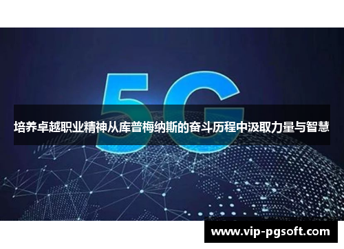 培养卓越职业精神从库普梅纳斯的奋斗历程中汲取力量与智慧