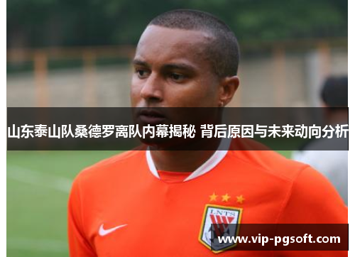 山东泰山队桑德罗离队内幕揭秘 背后原因与未来动向分析