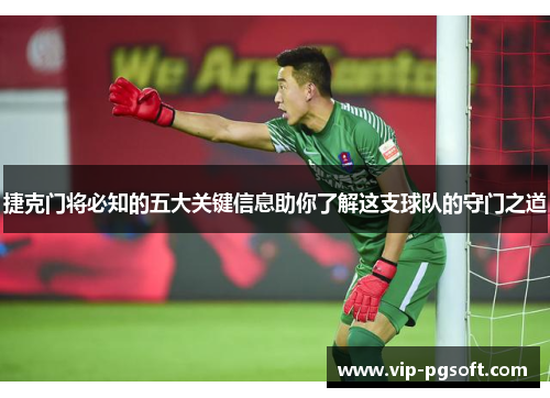 捷克门将必知的五大关键信息助你了解这支球队的守门之道