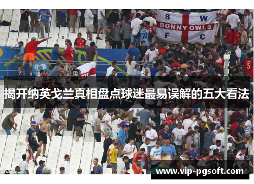 揭开纳英戈兰真相盘点球迷最易误解的五大看法